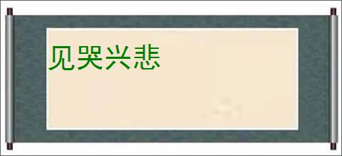 见哭兴悲