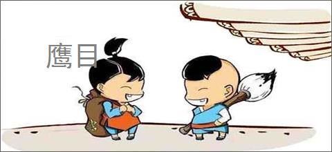 鹰目