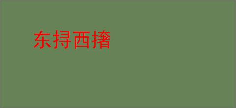 东挦西撦