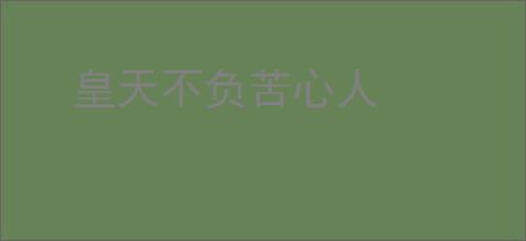 皇天不负苦心人