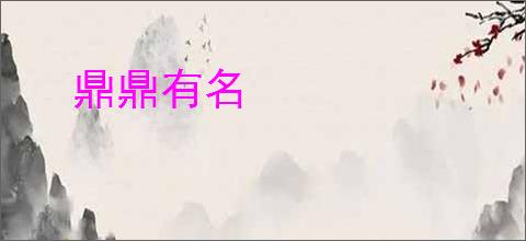 鼎鼎有名