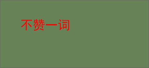 不赞一词