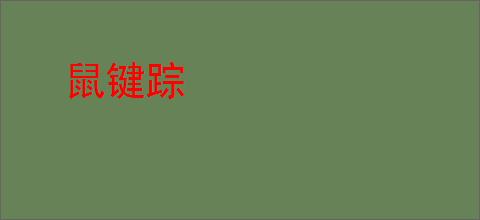 鼠键踪