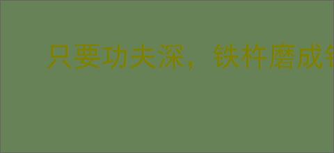 只要功夫深，铁杵磨成针