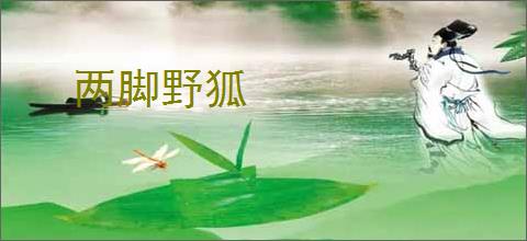 两脚野狐