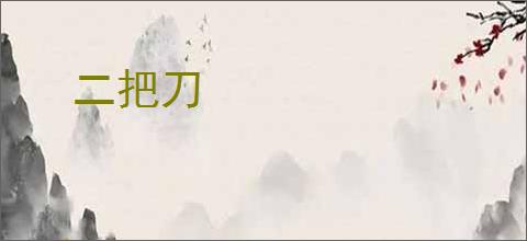 二把刀