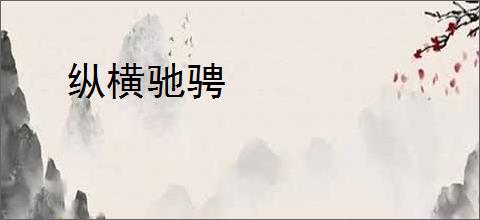 纵横驰骋