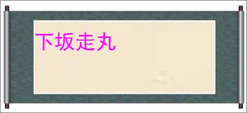 下坂走丸
