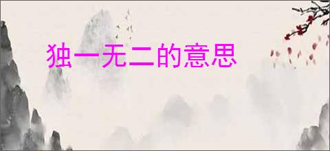 独一无二的意思