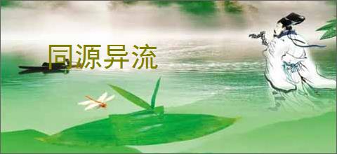 同源异流