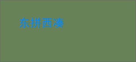 东拼西凑