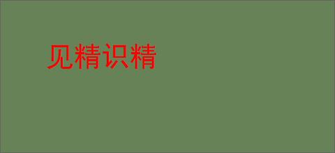 见精识精