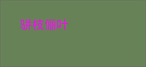 骈枝俪叶
