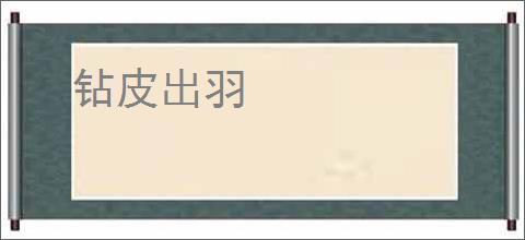 钻皮出羽