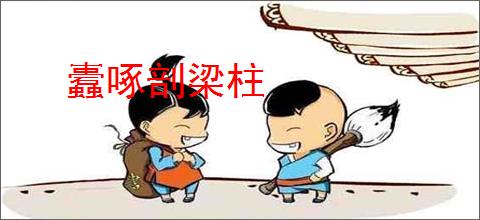 蠹啄剖梁柱