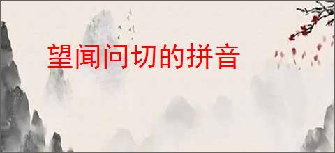 望闻问切的拼音