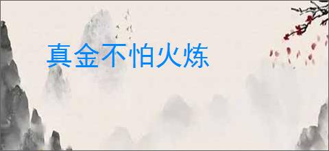 真金不怕火炼