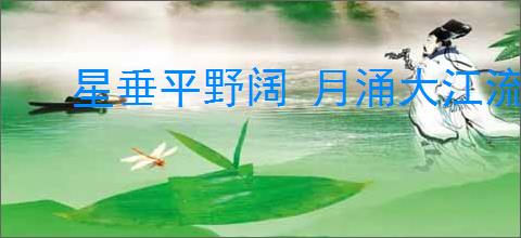 星垂平野阔 月涌大江流